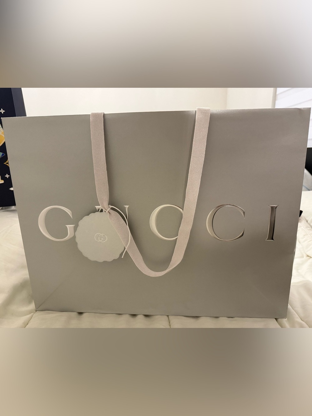 Gucci Gray Gift Bag